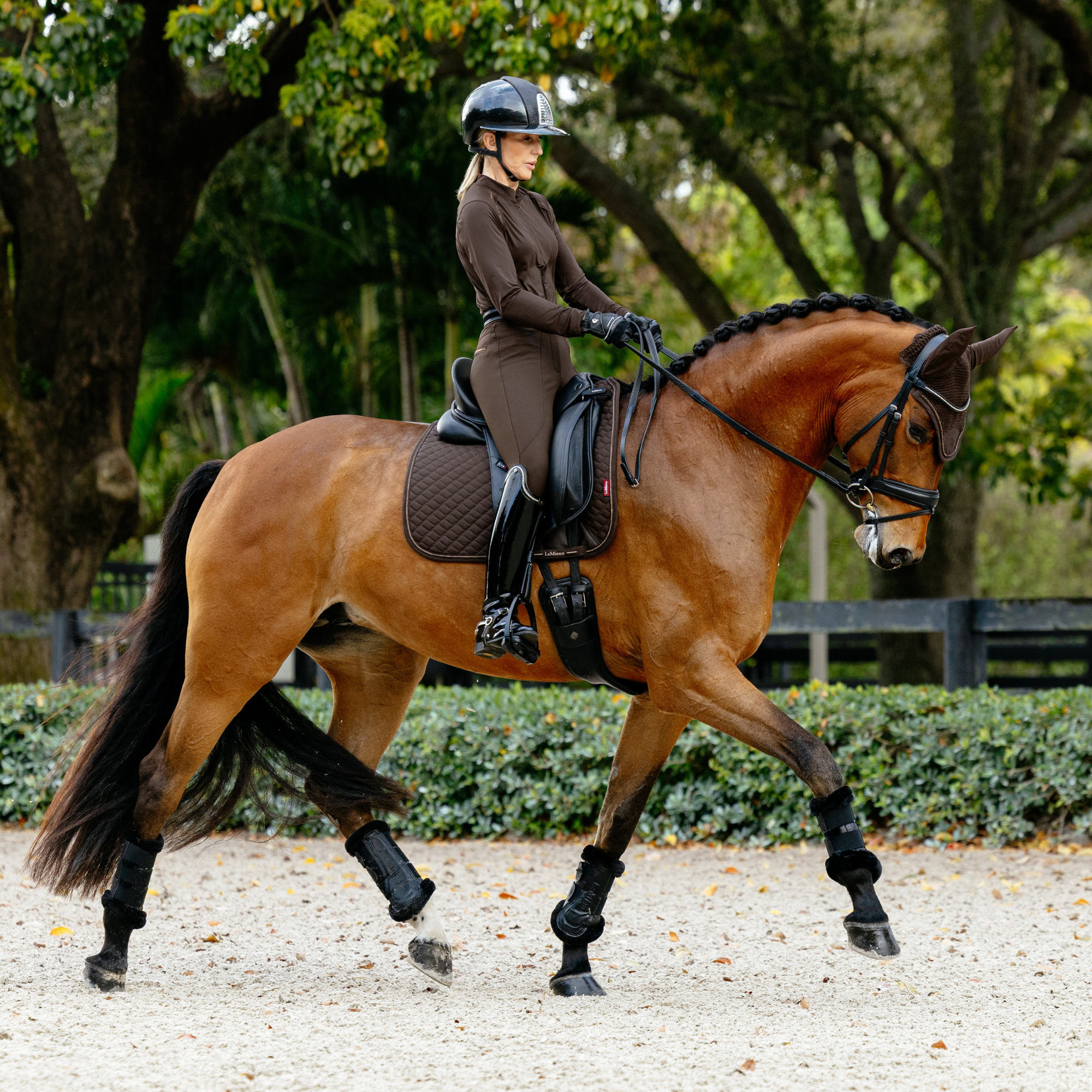 LeMieux Brilliance Dressage Saddle Pad, Espresso