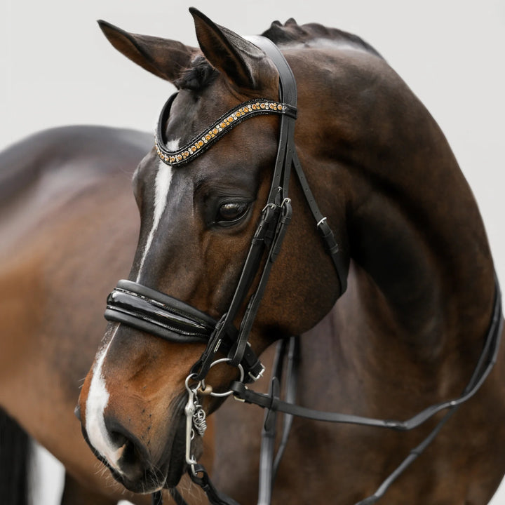 Lumiere Equestrian ARIANA Anatomic Premium Leather Double Bridle, Black with Reins