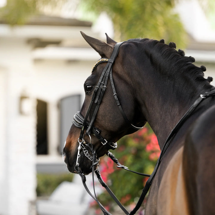 Lumiere Equestrian ARIANA Anatomic Premium Leather Double Bridle, Black with Reins