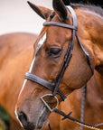 Lumiere Equestrian CLASSIC Hunter Bridle, Brown with Reins