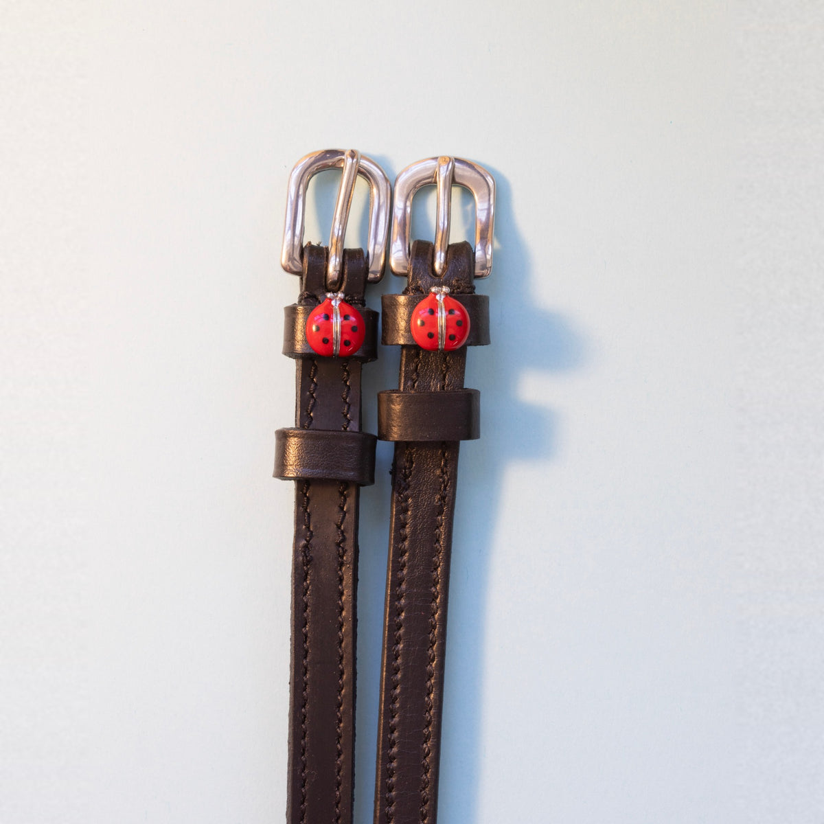 ManeJane Red Lady Bug Spur Straps