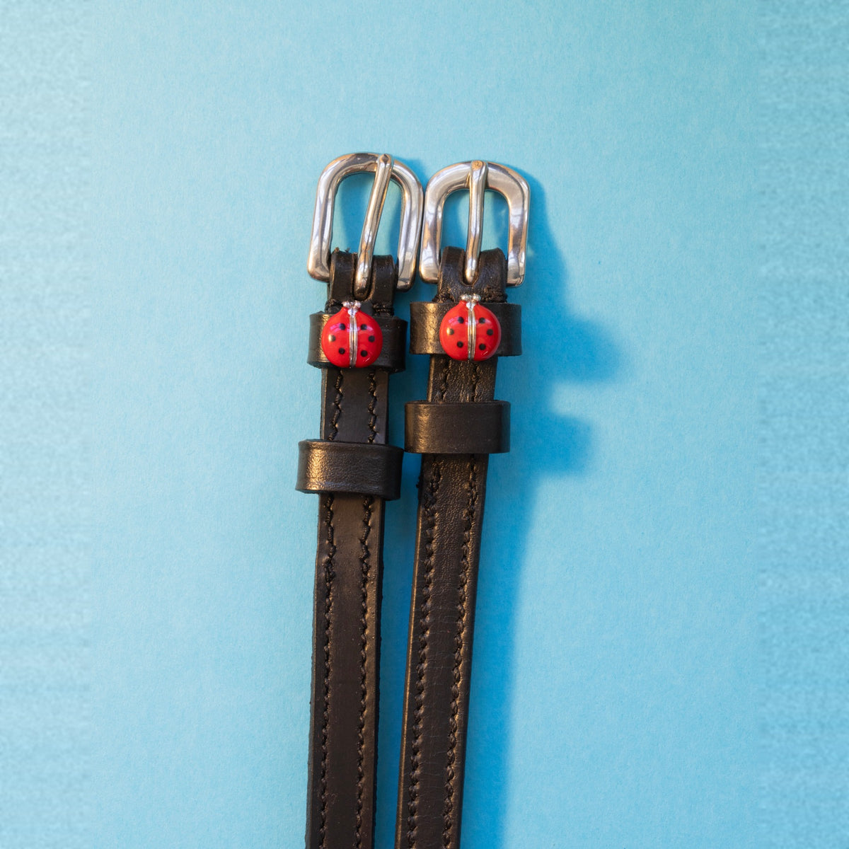ManeJane Red Lady Bug Spur Straps