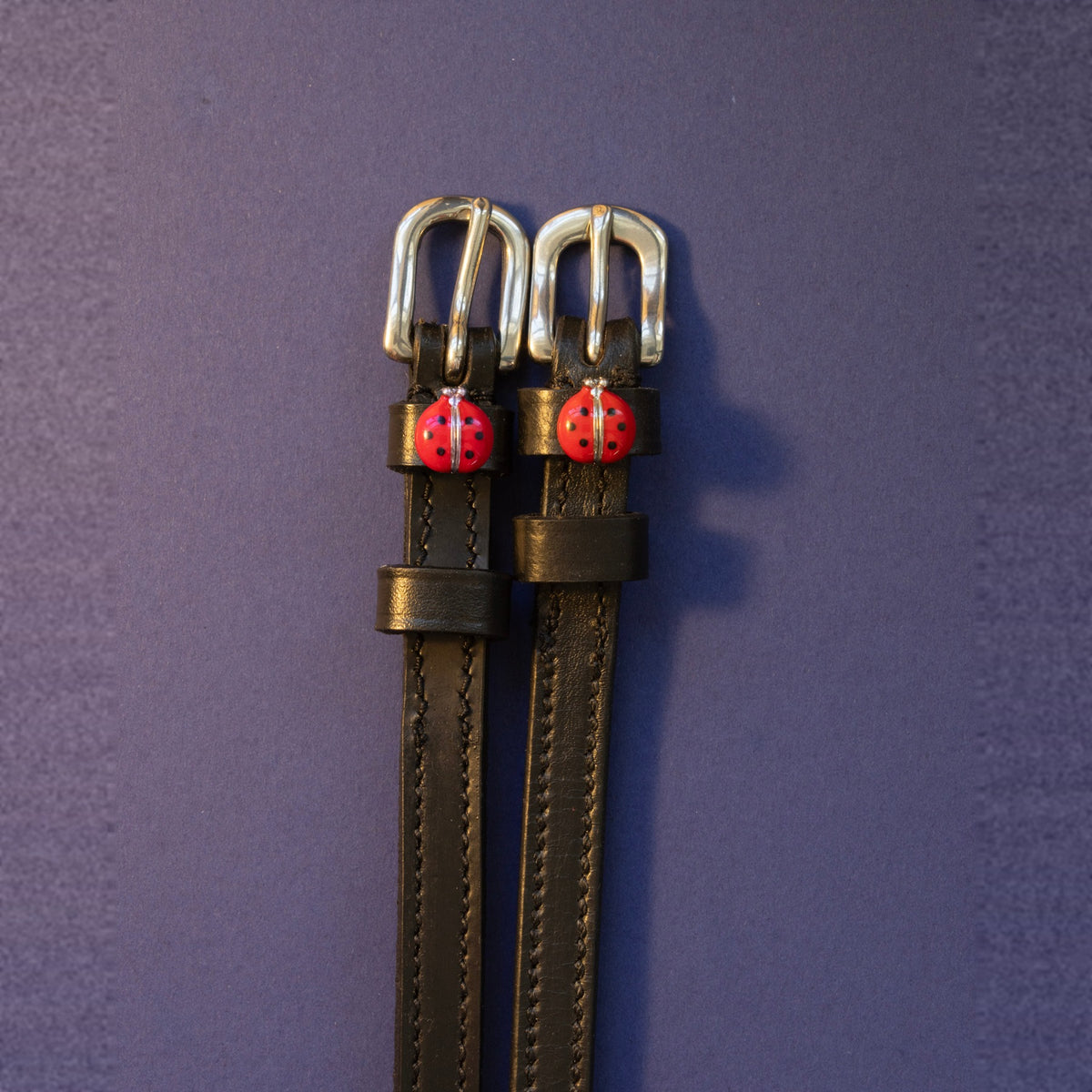 ManeJane Red Lady Bug Spur Straps