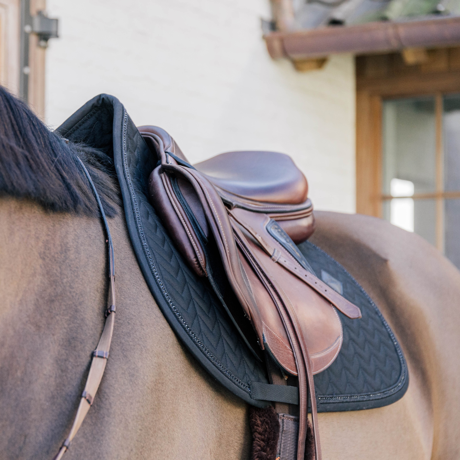 Kentucky Horsewear Show Jumping Saddle Pad with Metal Chain, Black