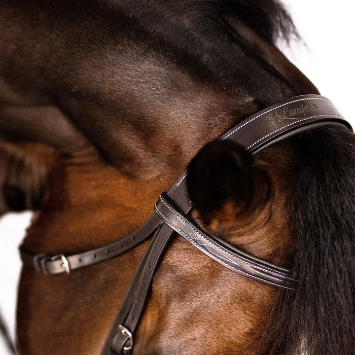Lumiere Equestrian CLASSIC Hunter Bridle, Brown with Reins