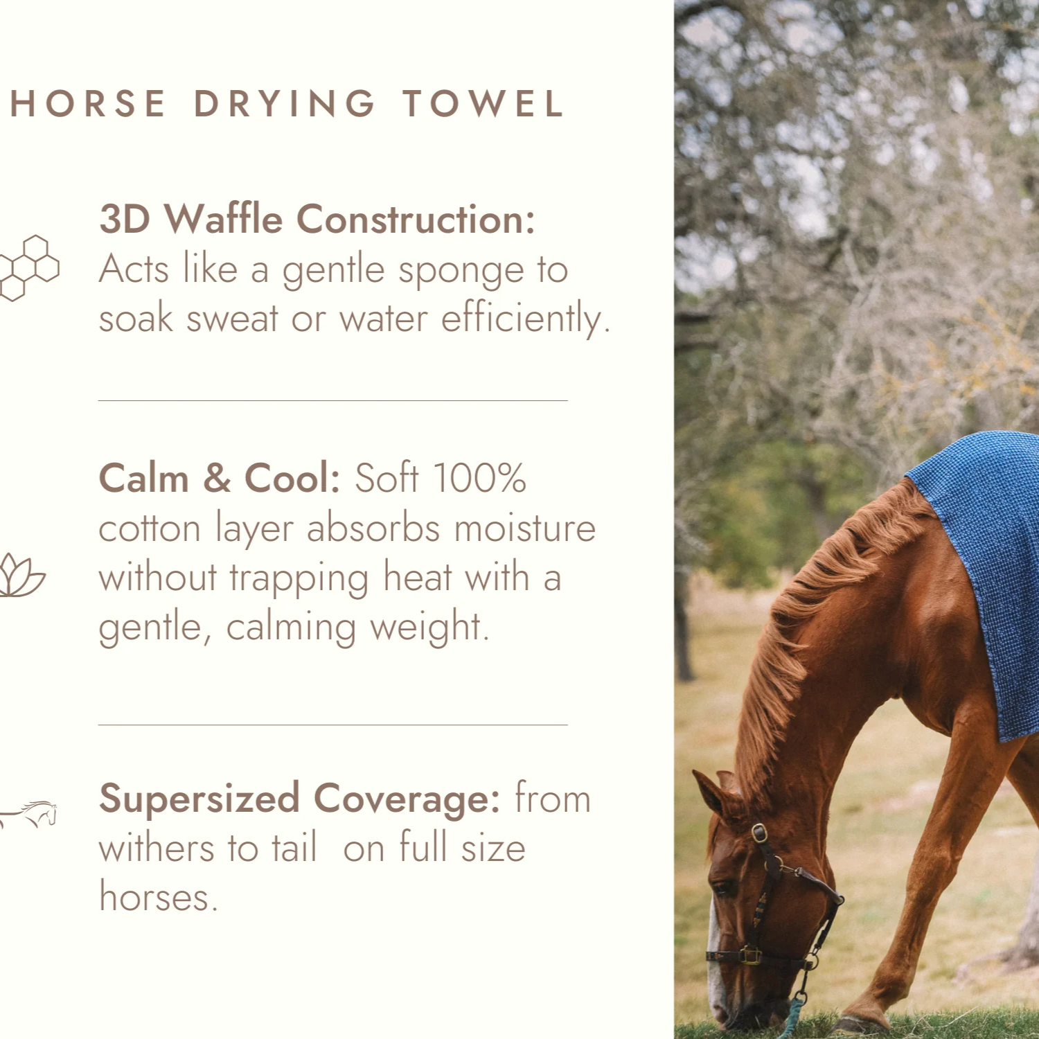 Sixteen Cypress Cotton Waffle Horse Drying Towel, Sand