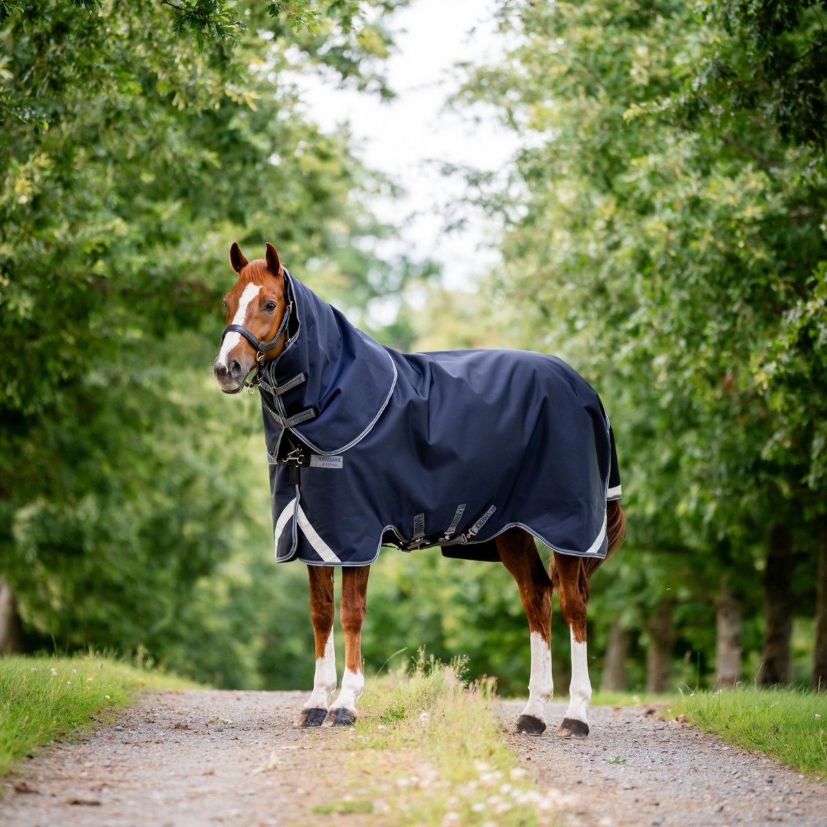 Rambo 1680D Plus Turnout 100g, Navy/Thunderstorm Grey &amp; Silver