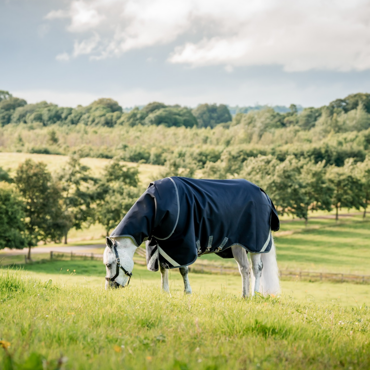 Rambo 1680D Plus Turnout 100g, Navy/Thunderstorm Grey &amp; Silver