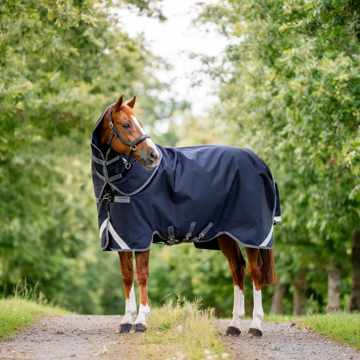 Rambo 1680D Plus Turnout 100g, Navy/Thunderstorm Grey &amp; Silver