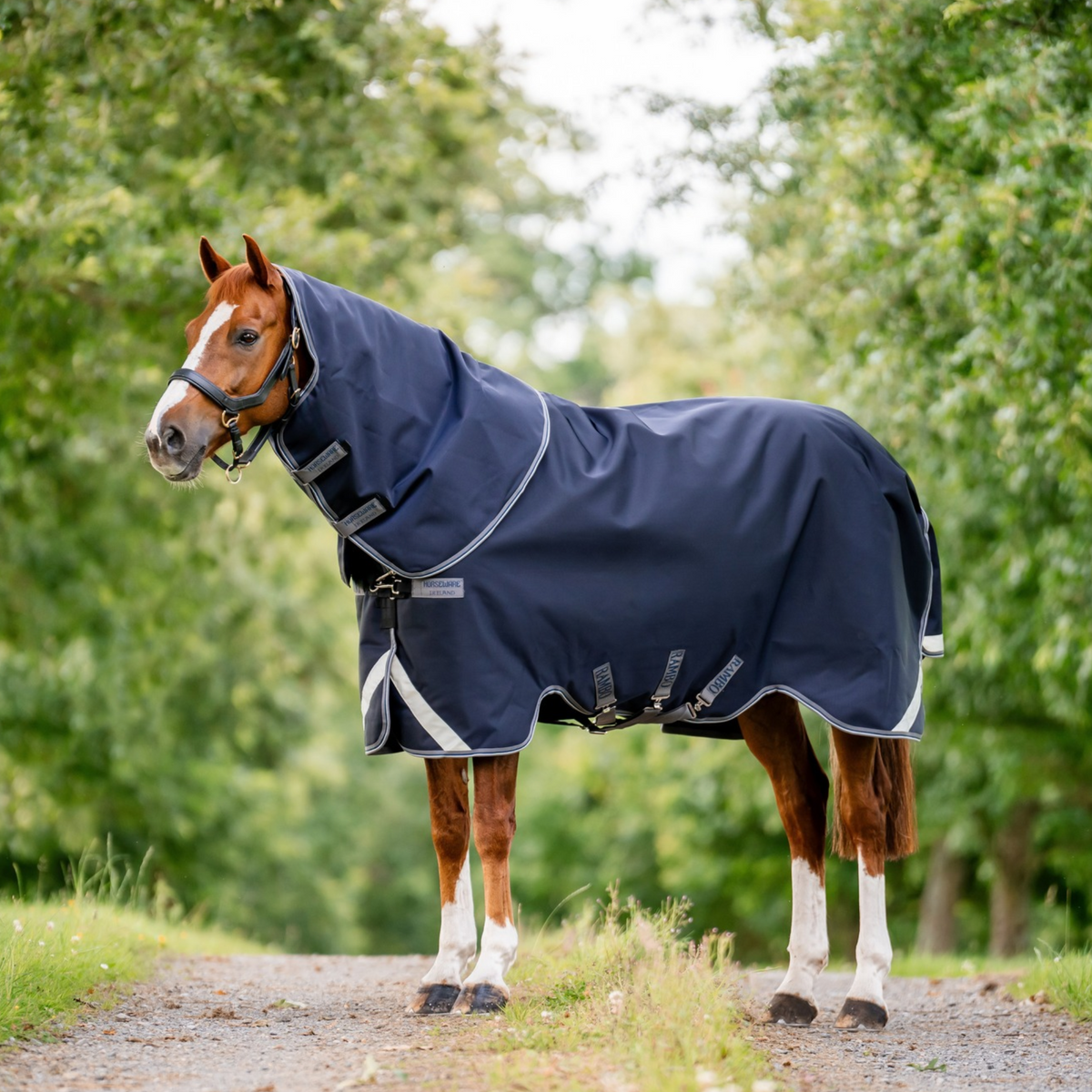 Rambo 1680D Plus Turnout 100g, Navy/Thunderstorm Grey &amp; Silver