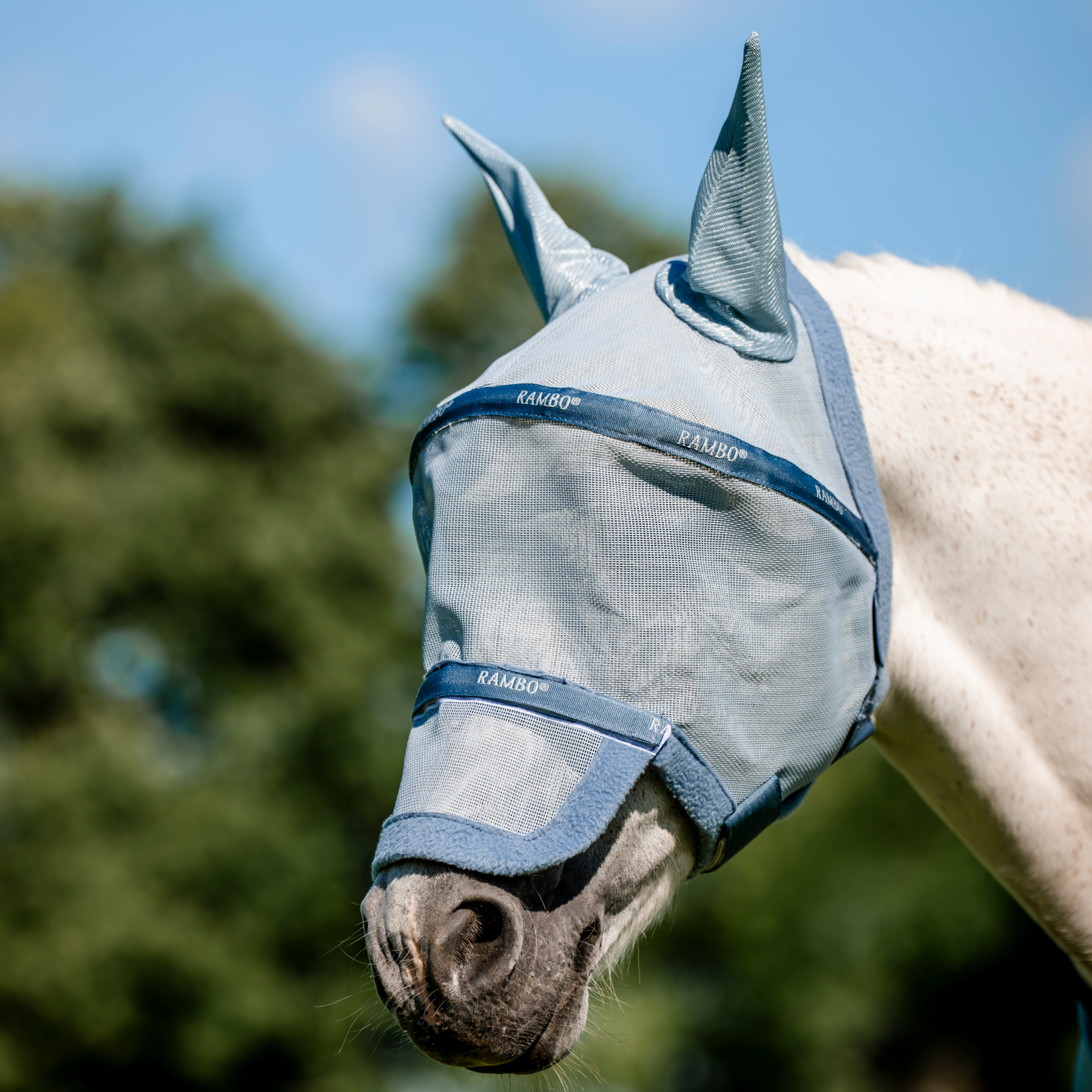 Rambo Fly Mask, Heather Blue/Blue &amp; Silver