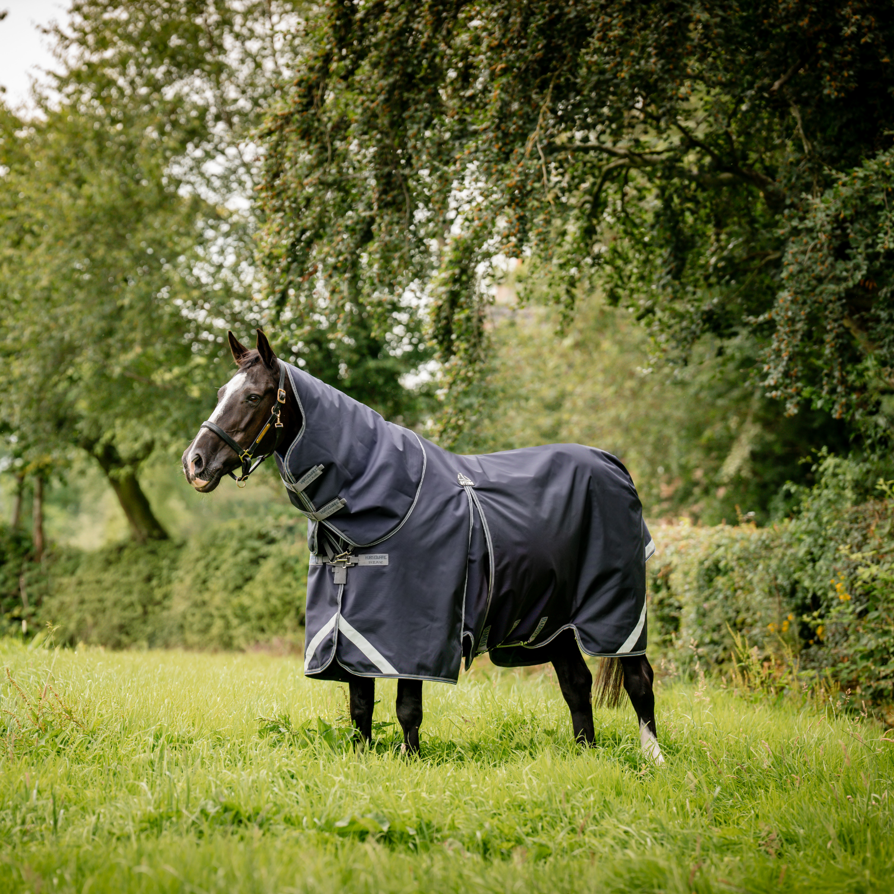 Köp Rambo Duo Hood 100 gr från Horseware - Hogsta Ridsport Köp Rambo Duo Hood 100 gr från Horseware - Hogsta Ridsport
