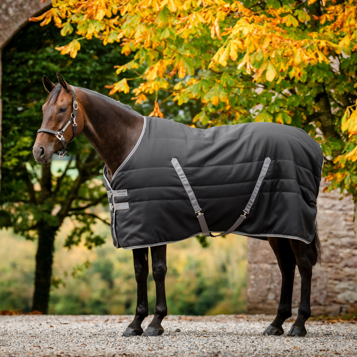Rambo Stable 100g, Black/Thunderstorm Grey &amp; Silver