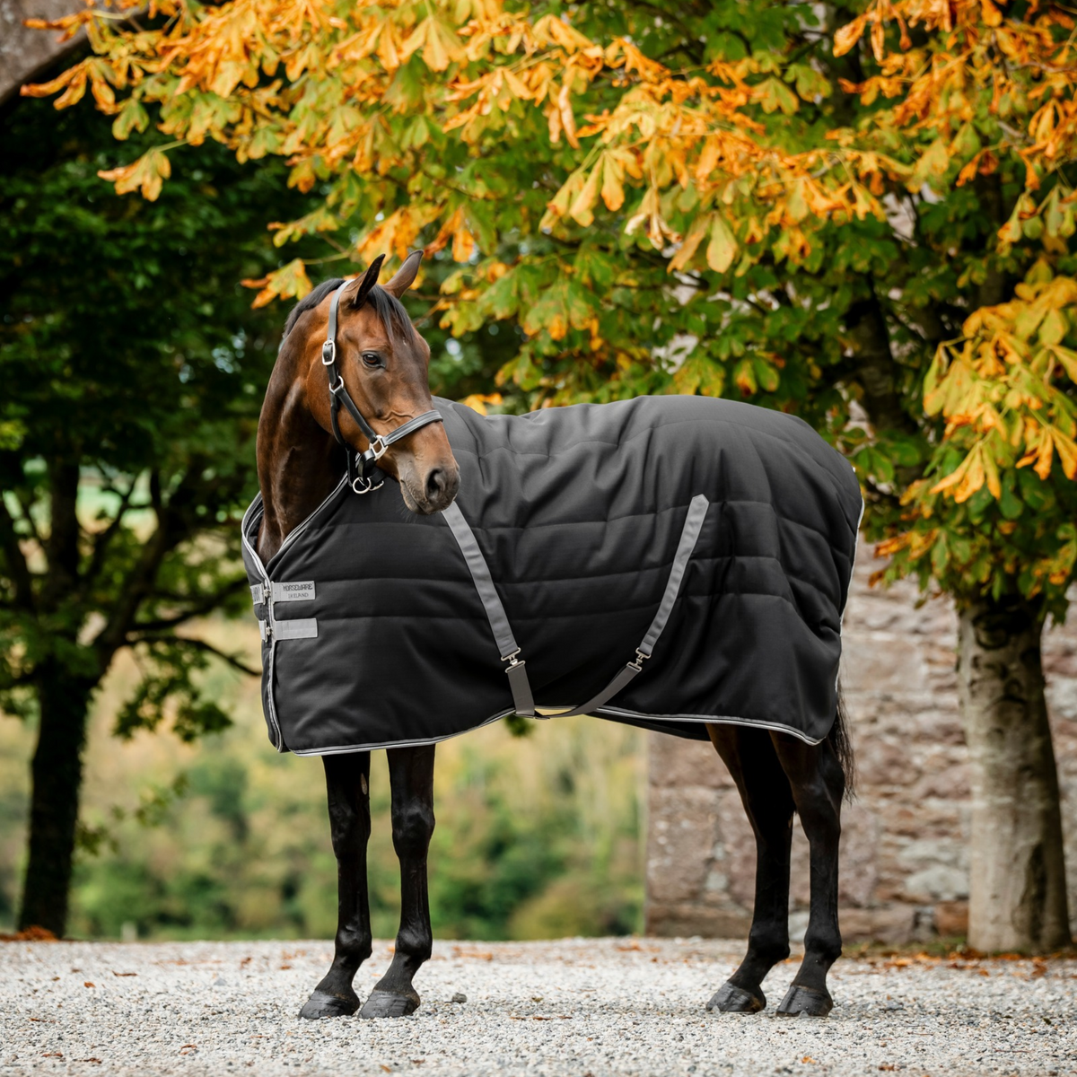 Rambo Stable 100g, Black/Thunderstorm Grey &amp; Silver