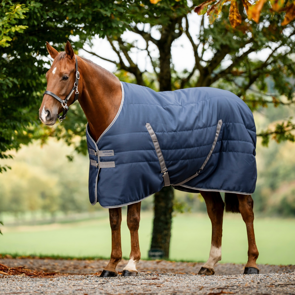 Rambo Stable 100g, Navy/Thunderstorm Grey &amp; Silver