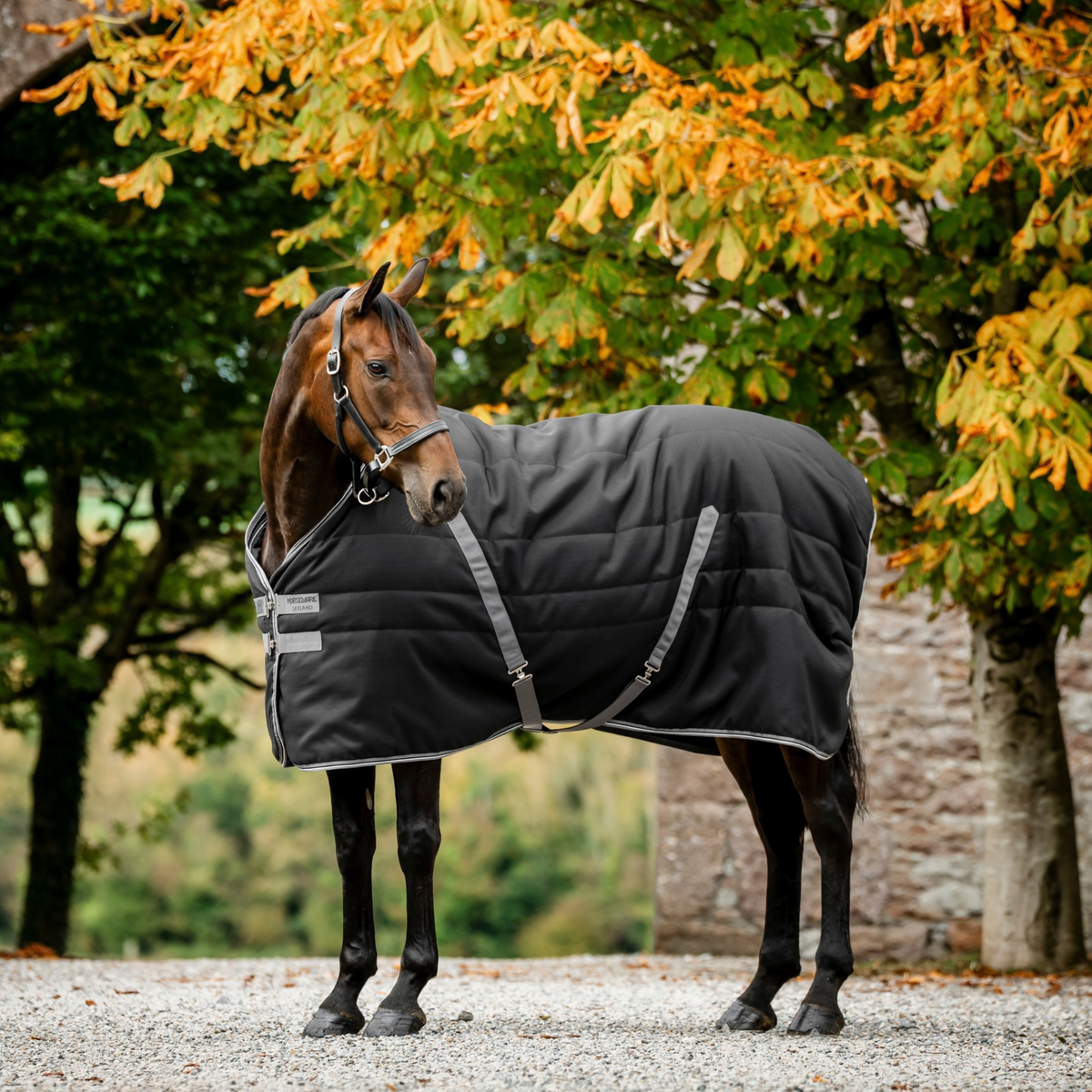 Rambo Stable 400g, Black/Thunderstorm Grey &amp; Silver