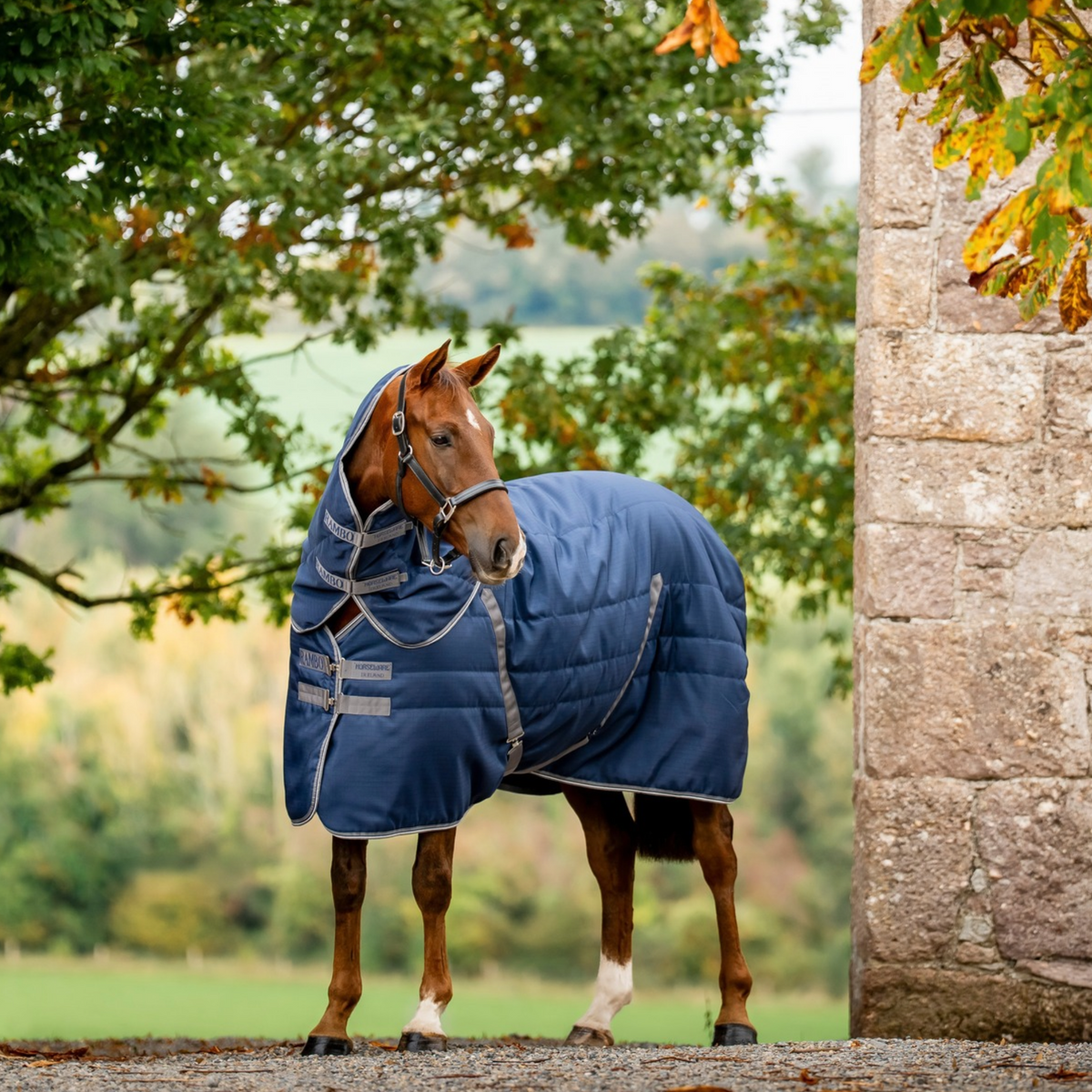 Rambo Stable 400g, Navy/Thunderstorm Grey &amp; Silver