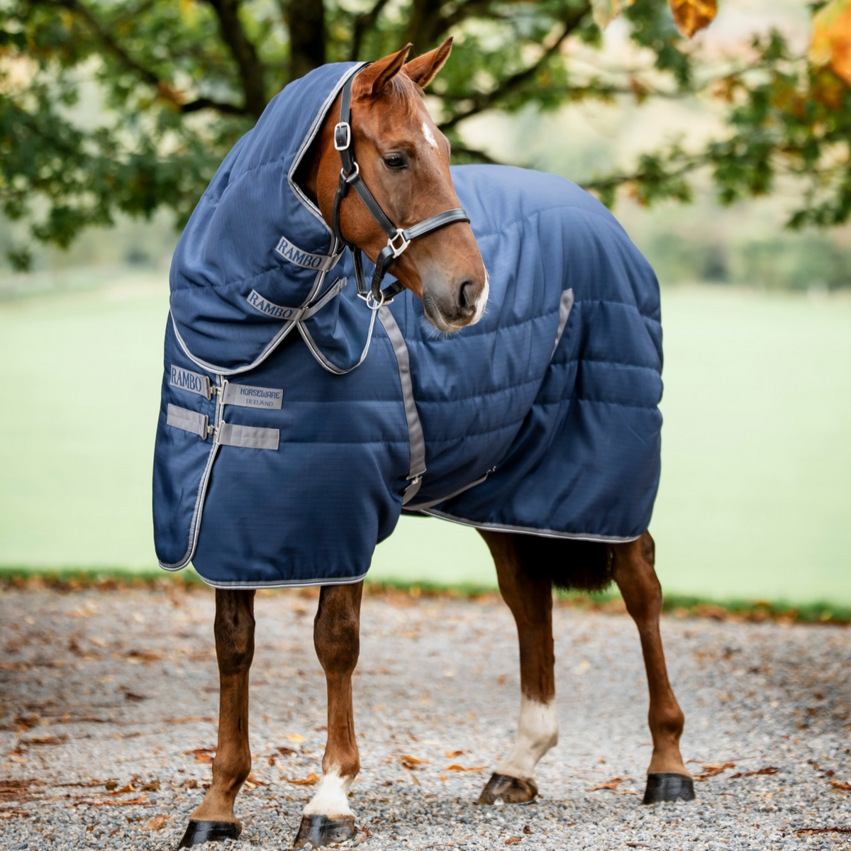 Rambo Stable 400g, Navy/Thunderstorm Grey &amp; Silver