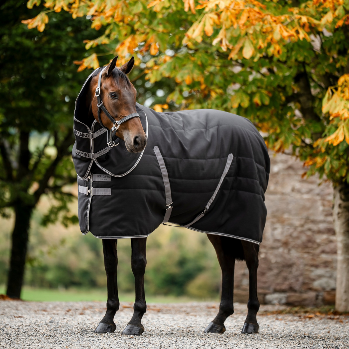 Rambo Stable Hood 100g, Black/Thunderstorm Grey &amp; Silver