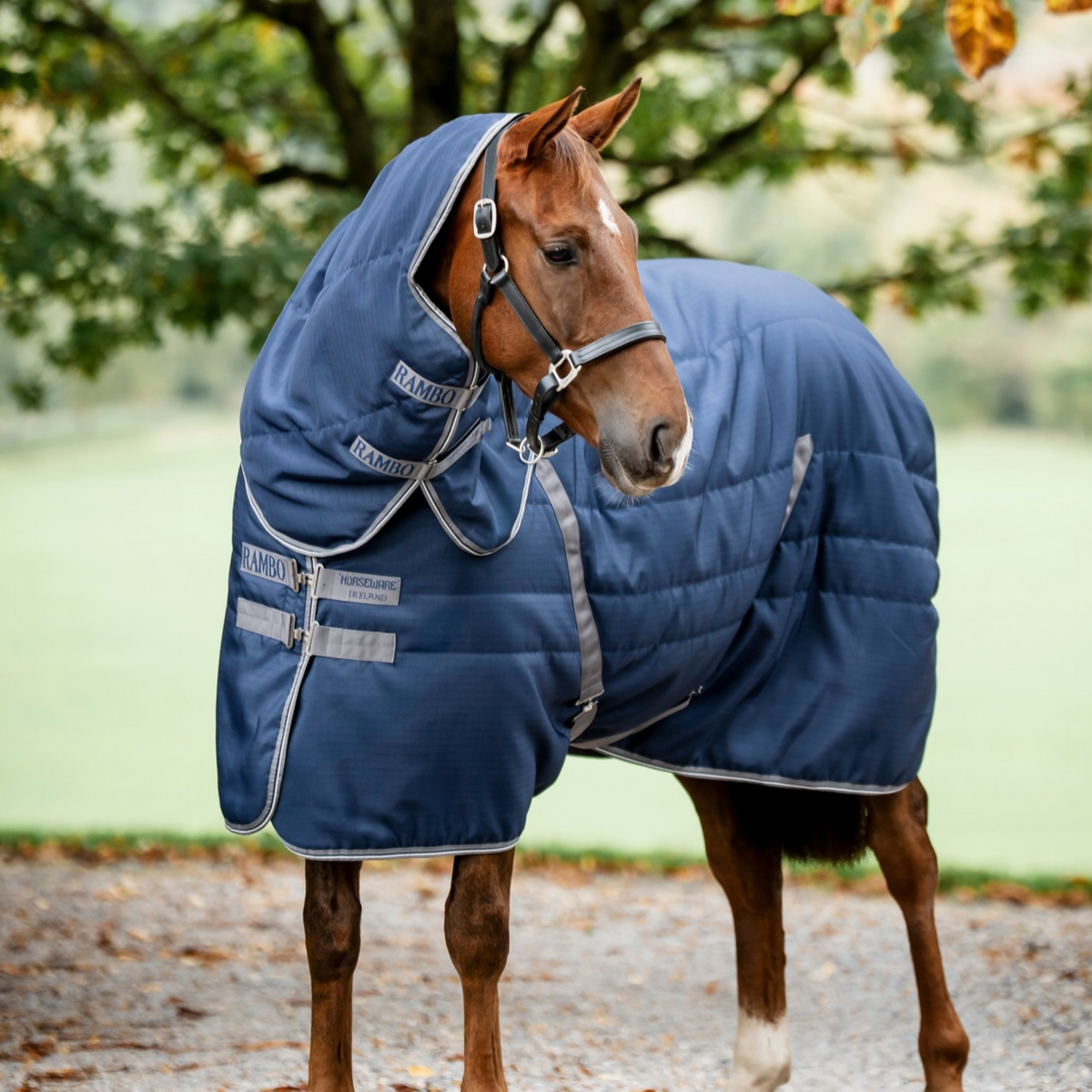 Rambo Stable Hood 100g, Navy/Thunderstorm Grey &amp; Silver