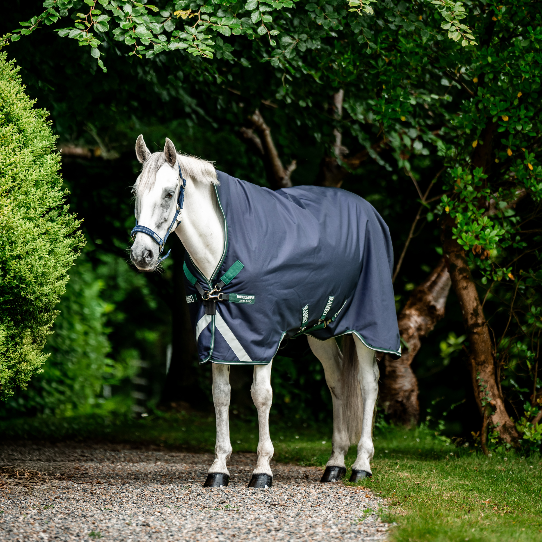 Rambo Wug Turnout, Navy/Hunter Green/Silver