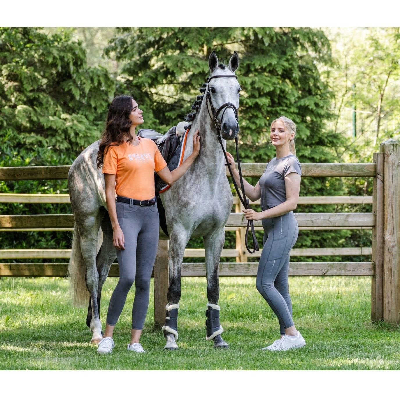 Schockemohle New Ladies Full Grip Mid Rise Pocket Riding Tights, Slate Grey