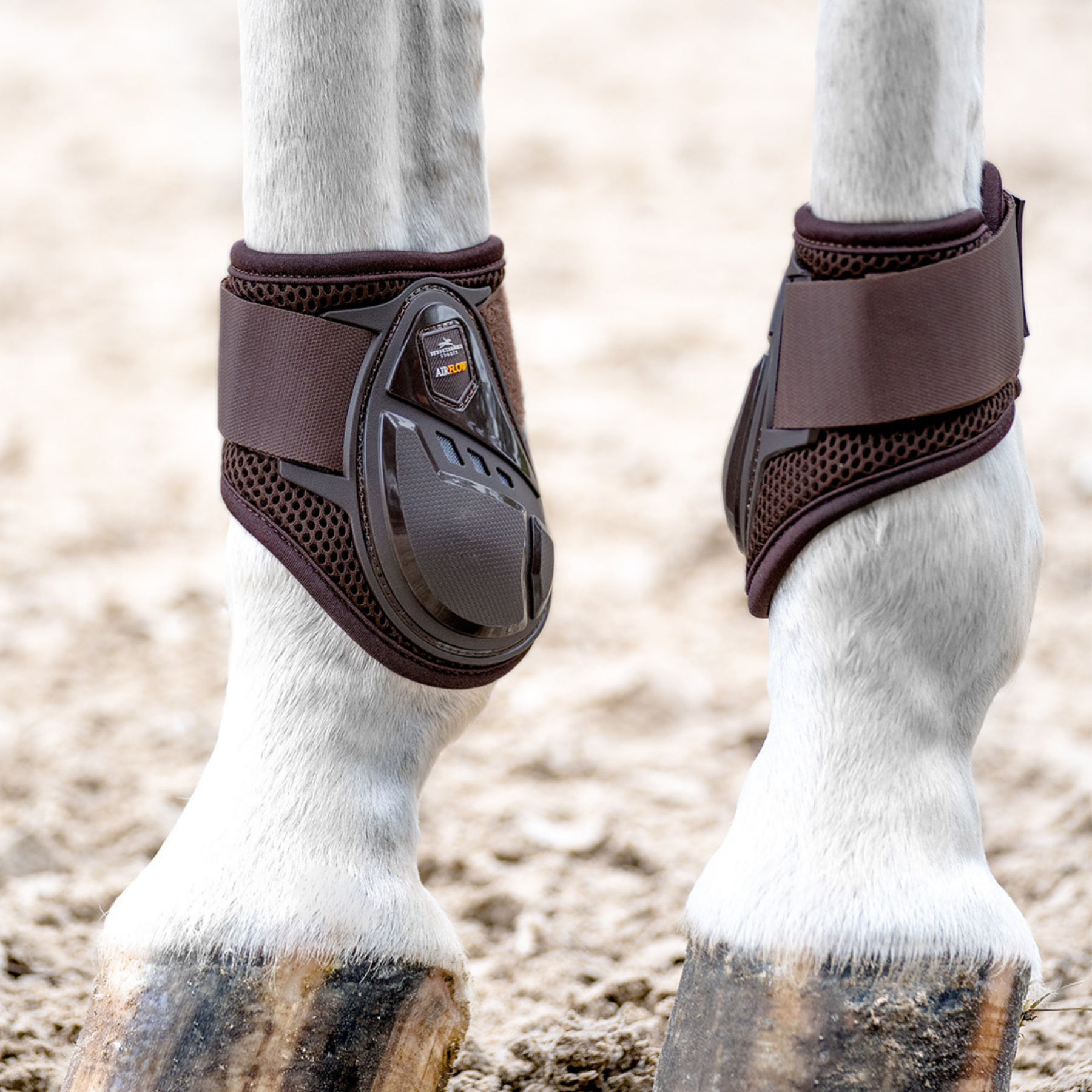Schockemohle Air Flow Champion Fetlock Boots, Brown