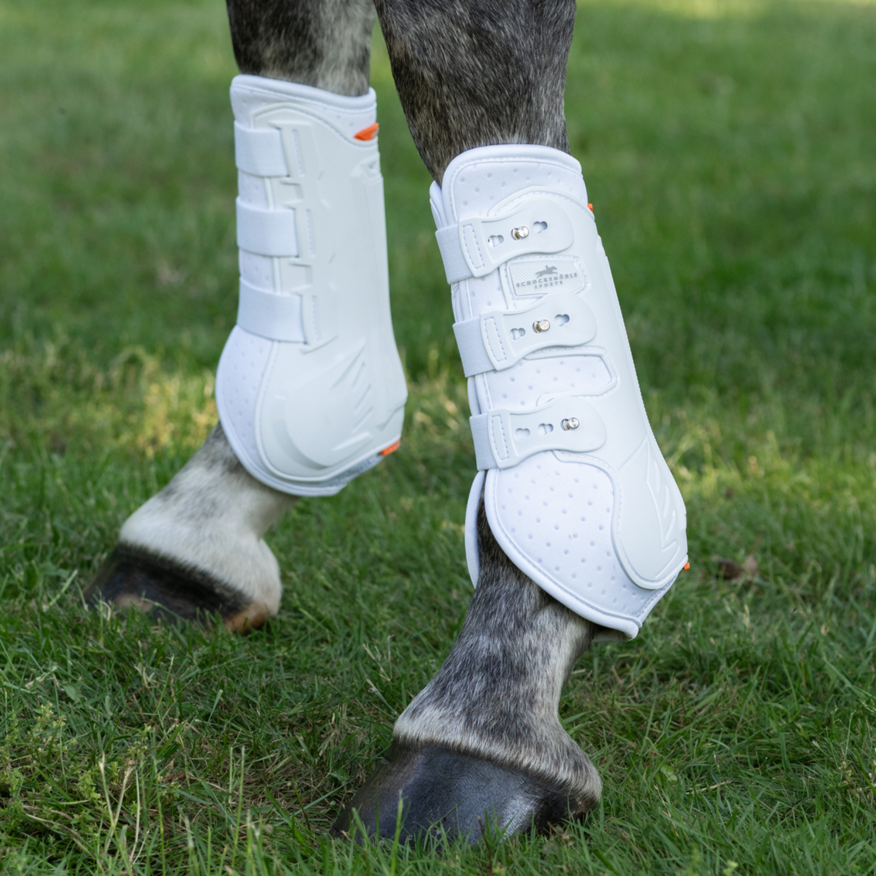Schockemohle Air Flow Dressage Hind Boots, White