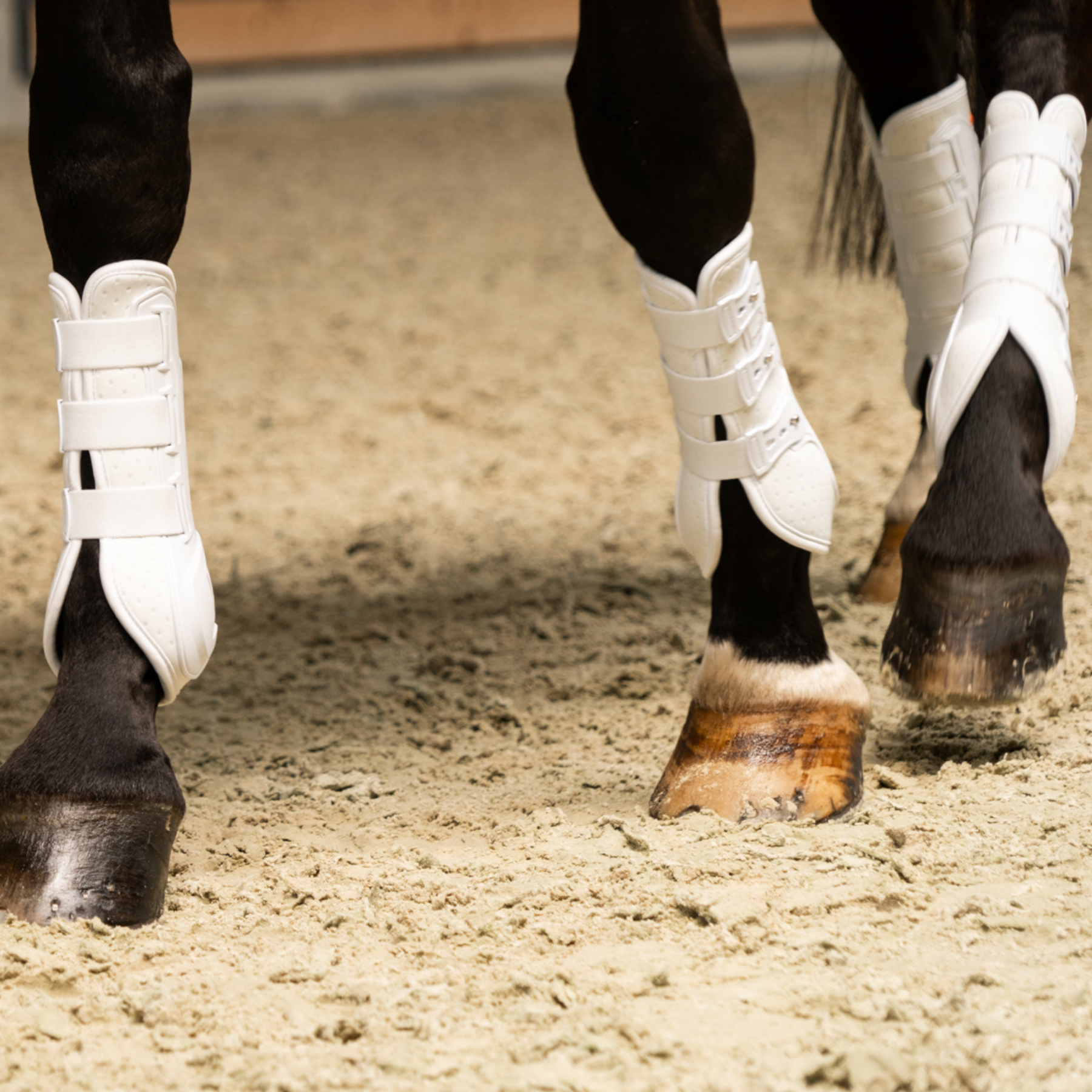 Schockemohle Air Flow Dressage Hind Boots, White