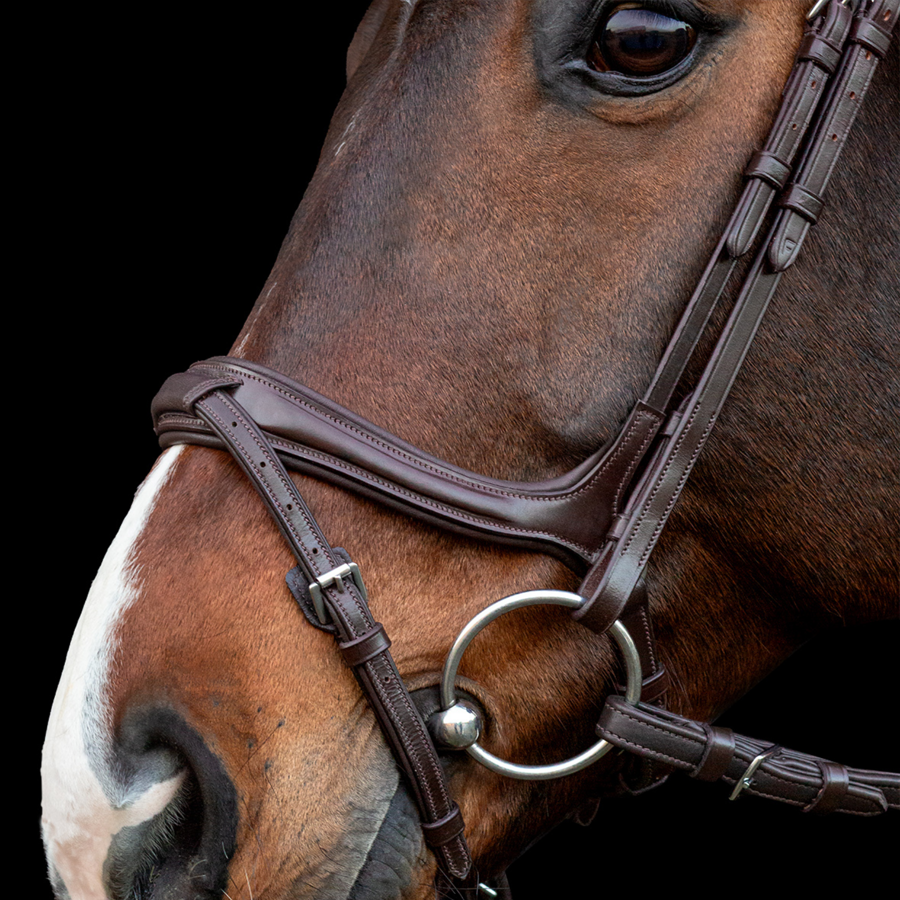 Schockemohle Ancona Bridle, Espresso/Silver