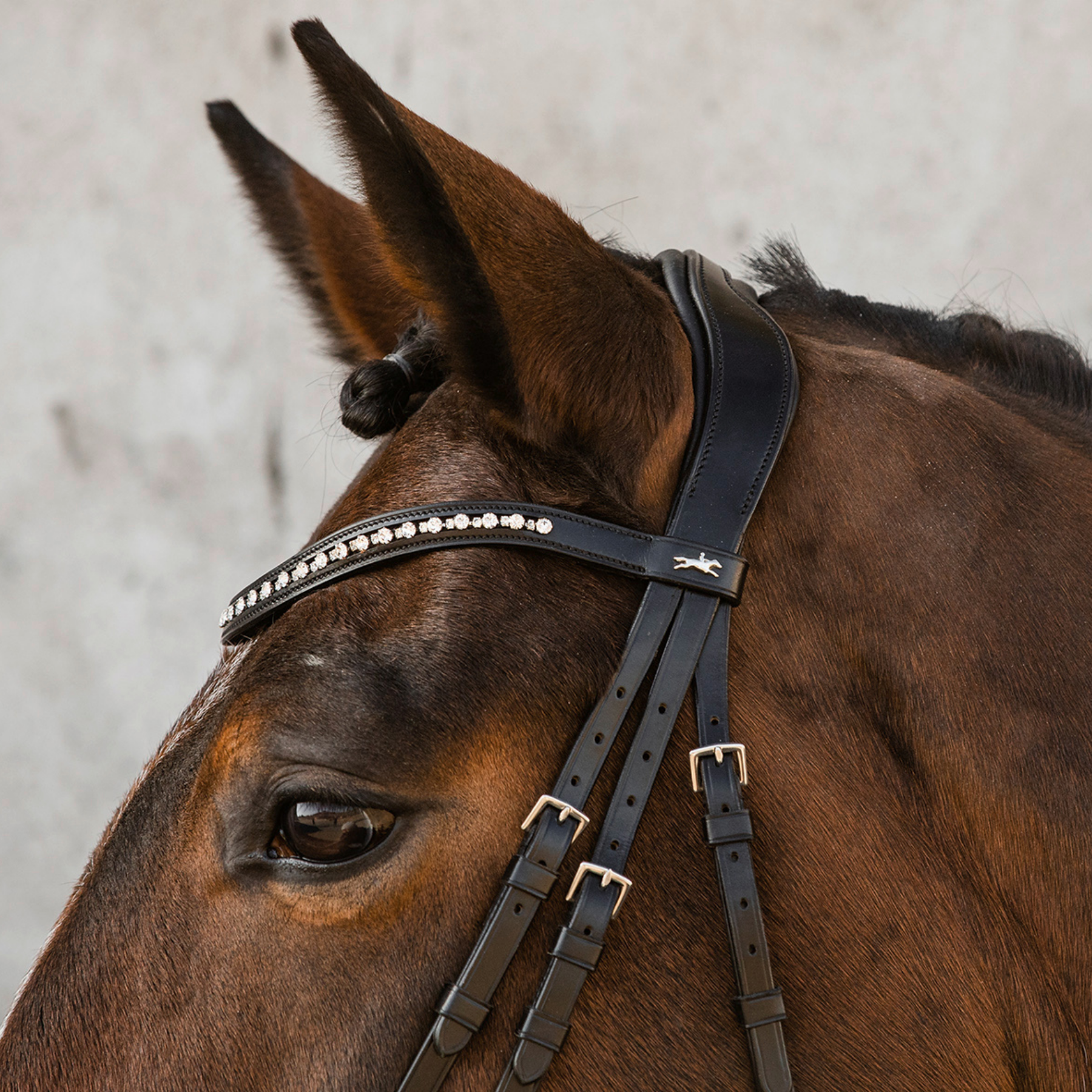 Schockemohle Brantford Anatomical Bridle, Black/Silver