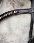 Schockemohle Browband Diamond Select Limited Headband, Black/Toffee Shades