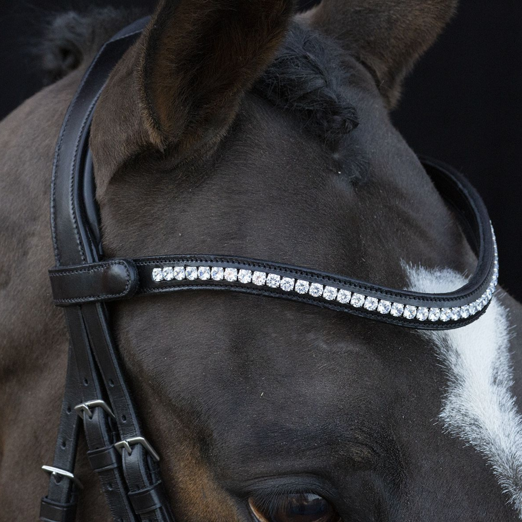 Schockemohle Charleston Bridle, Black/Silver