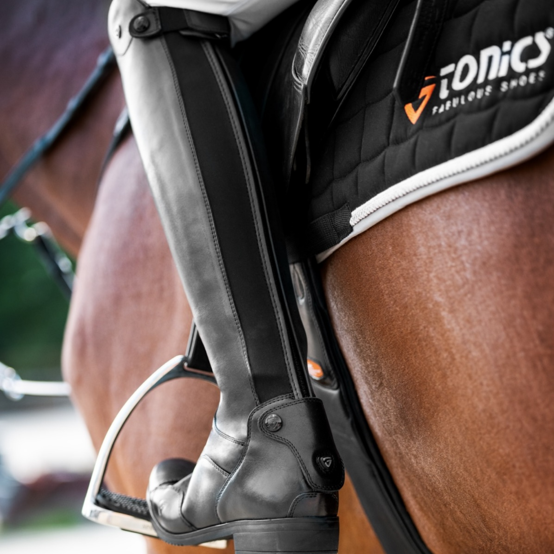 Schockemohle Gravity Riding Boots, Black