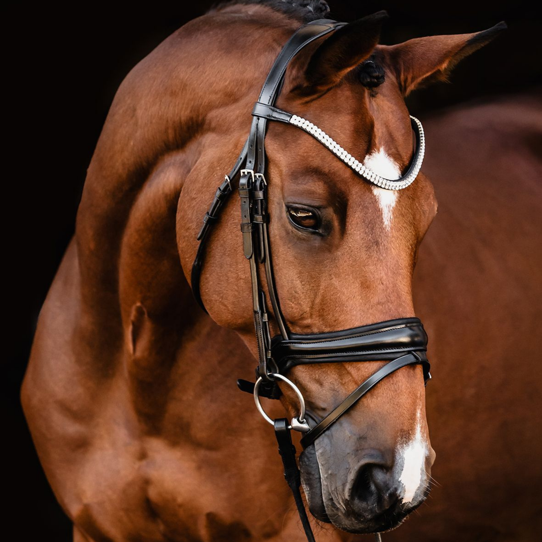 Schockemohle Isabell Werth Johnny Bridle, Black/Silver