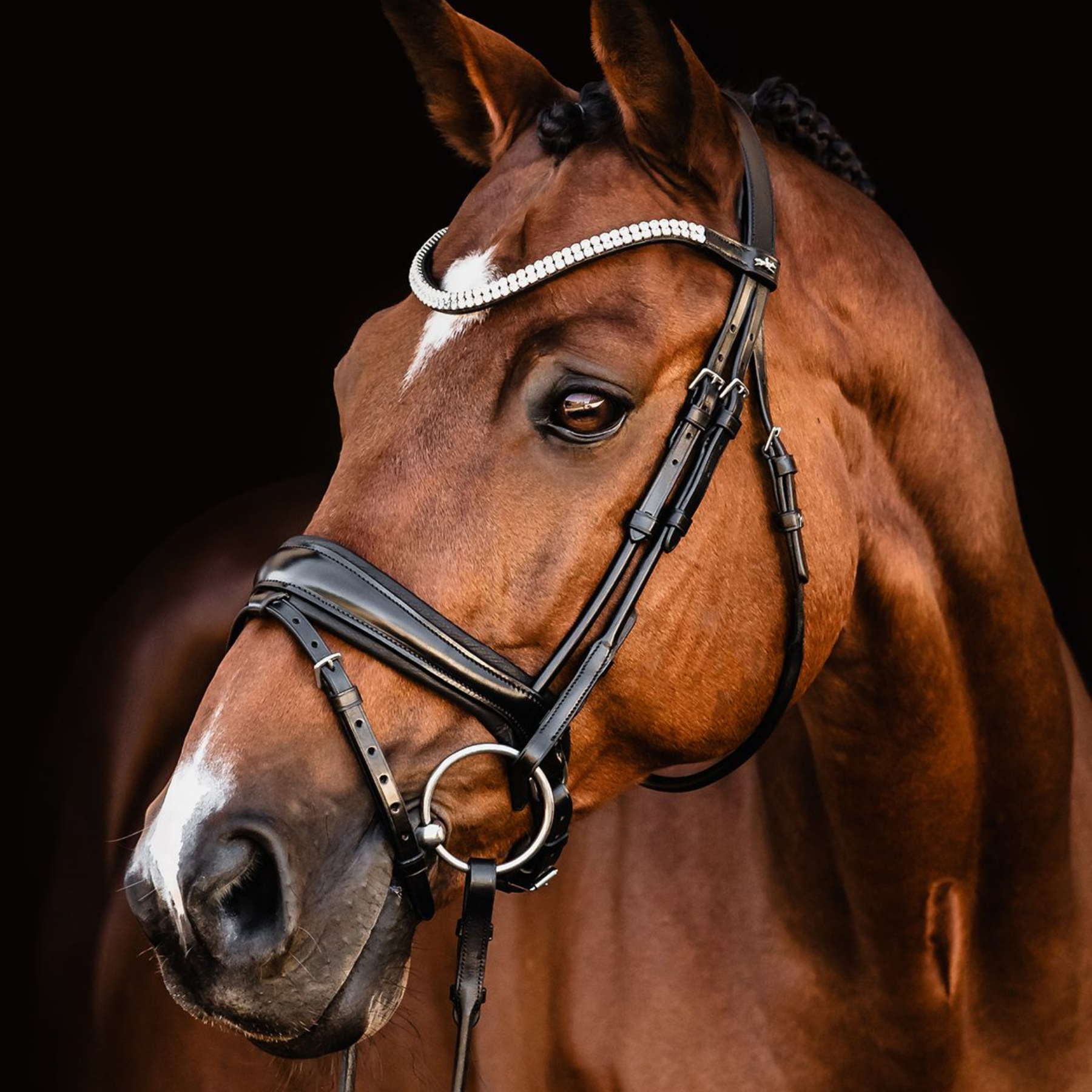 Schockemohle Isabell Werth Johnny Bridle, Black/Silver