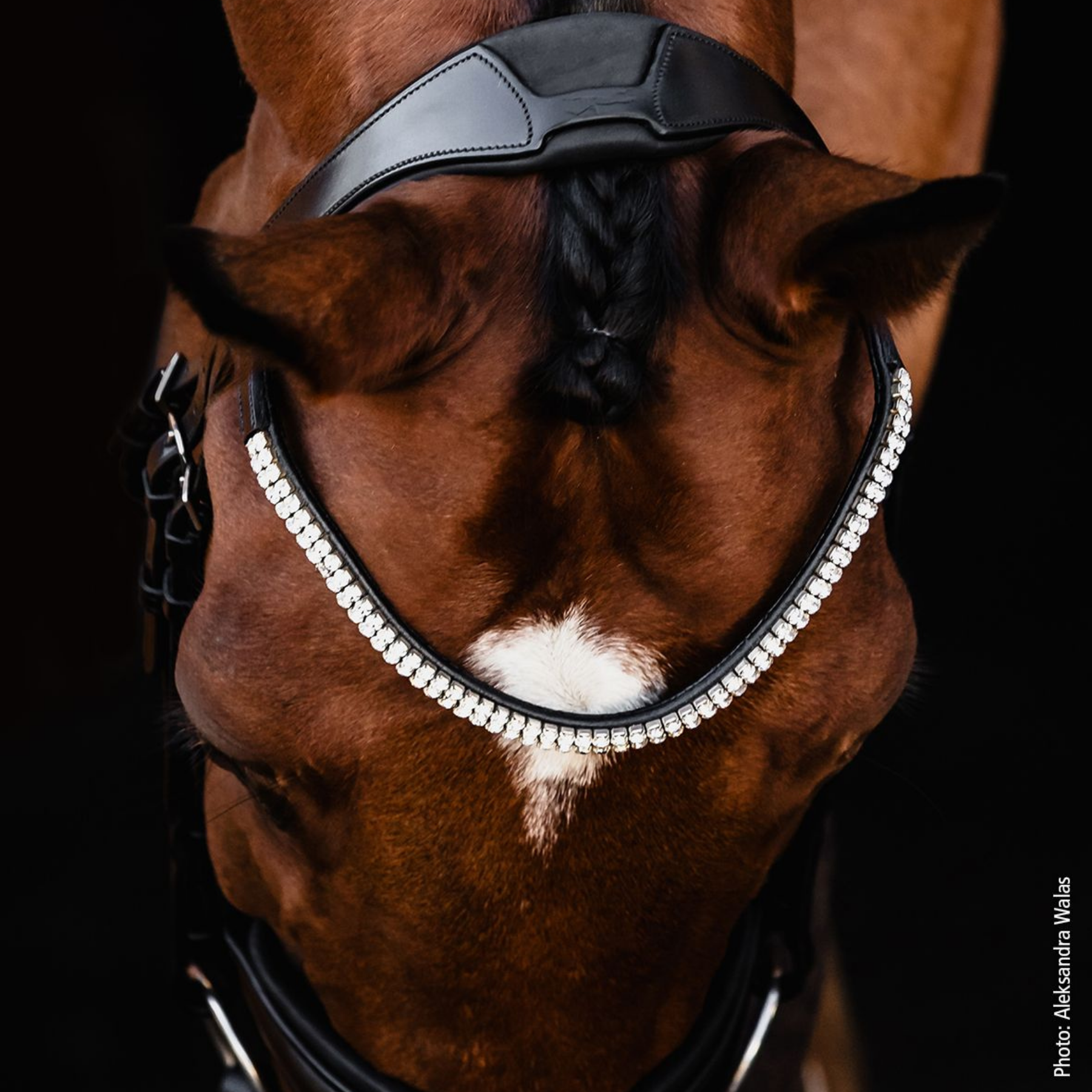 Schockemohle Isabell Werth Johnny Bridle, Black/Silver