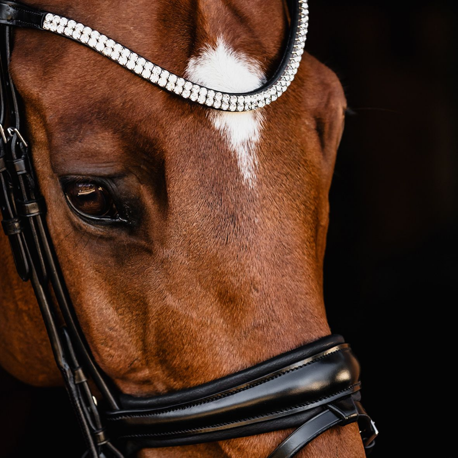 Schockemohle Isabell Werth Johnny Bridle, Black/Silver