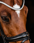 Schockemohle Isabell Werth Johnny Bridle, Black/Silver