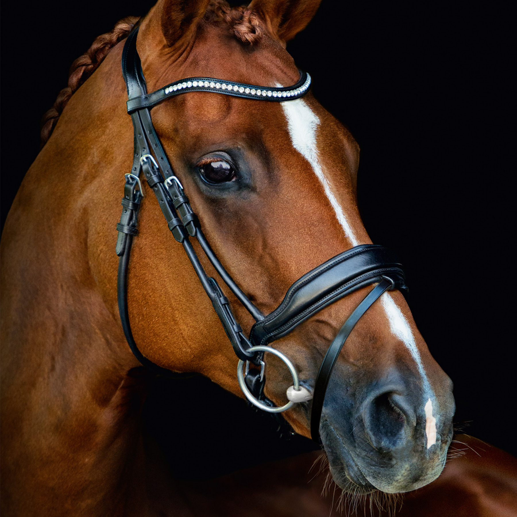 Schockemohle Malibu Anatomical Dressage Bridle, Black/Silver