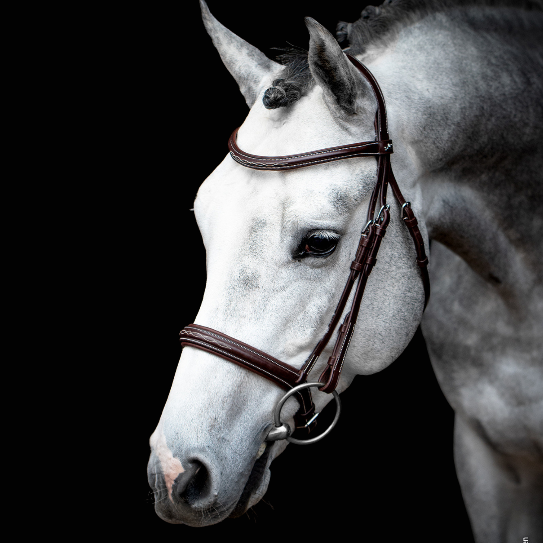 Schockemohle Montreal Select Anatomical Bridle, Espresso/Cream/Silver