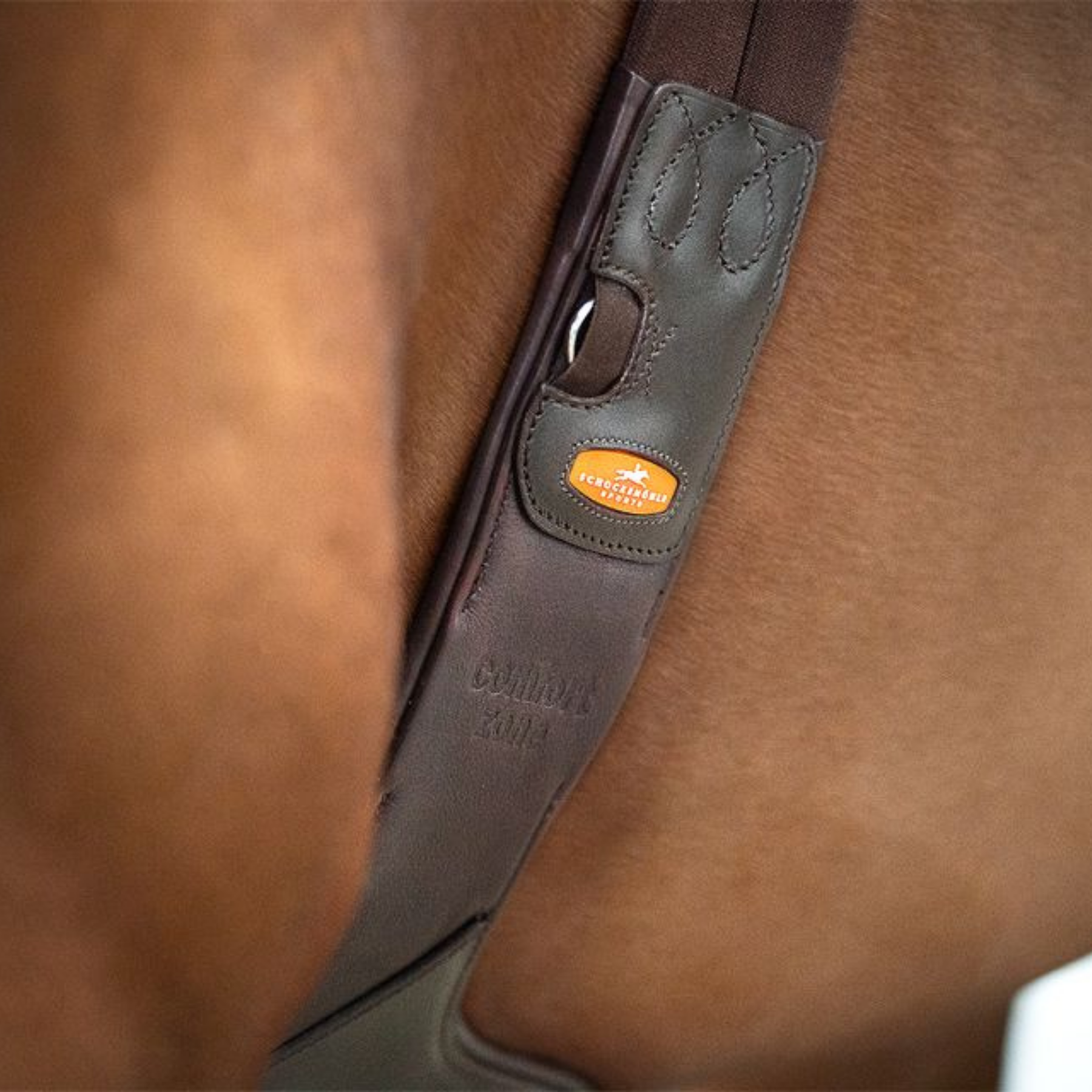 Schockemohle Oklahoma Anatomical Stud Girth, Espresso/Silver