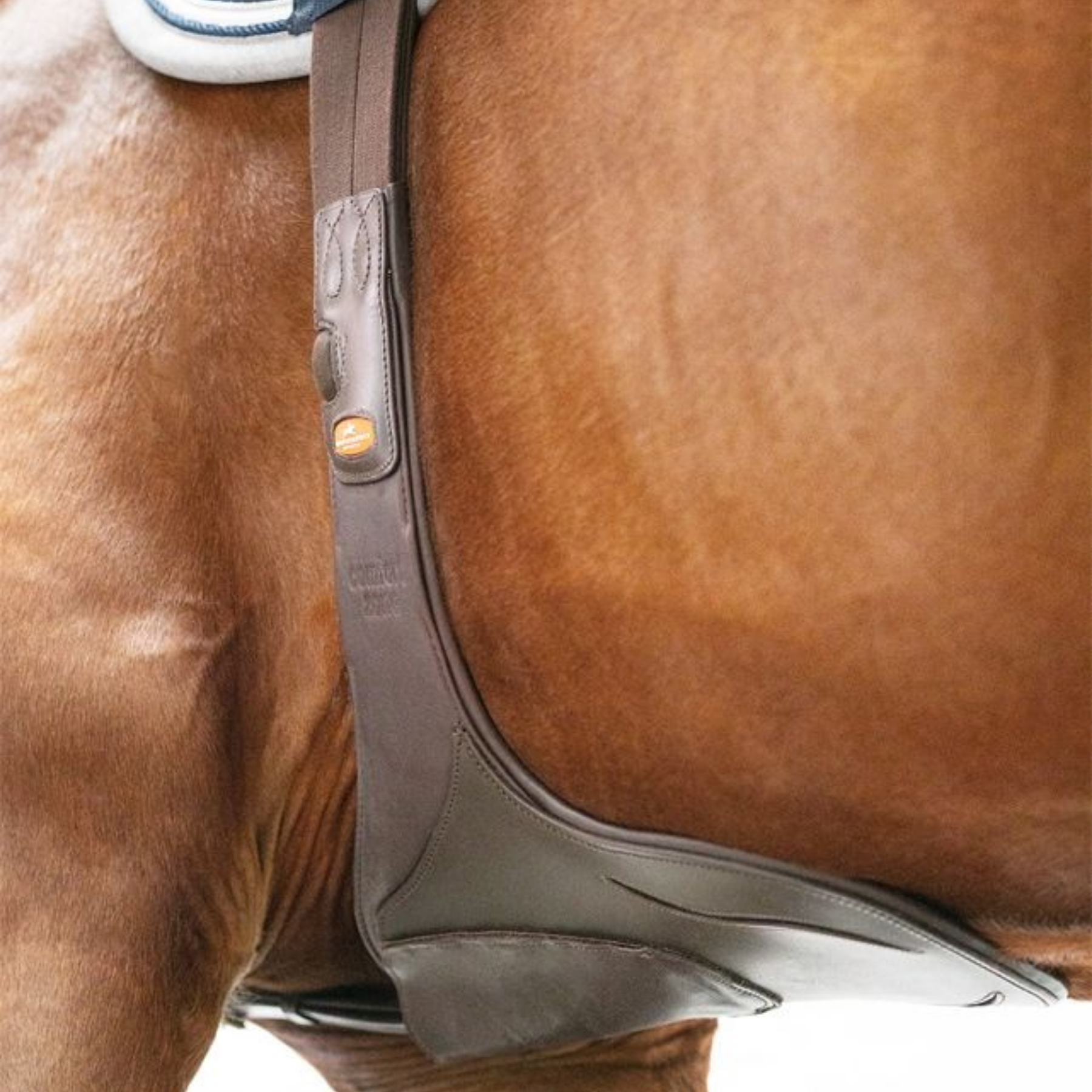 Schockemohle Oklahoma Anatomical Stud Girth, Espresso/Silver