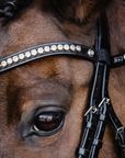 Schockemohle Palermo/Pisa Snap On Browband, Black/Crystal