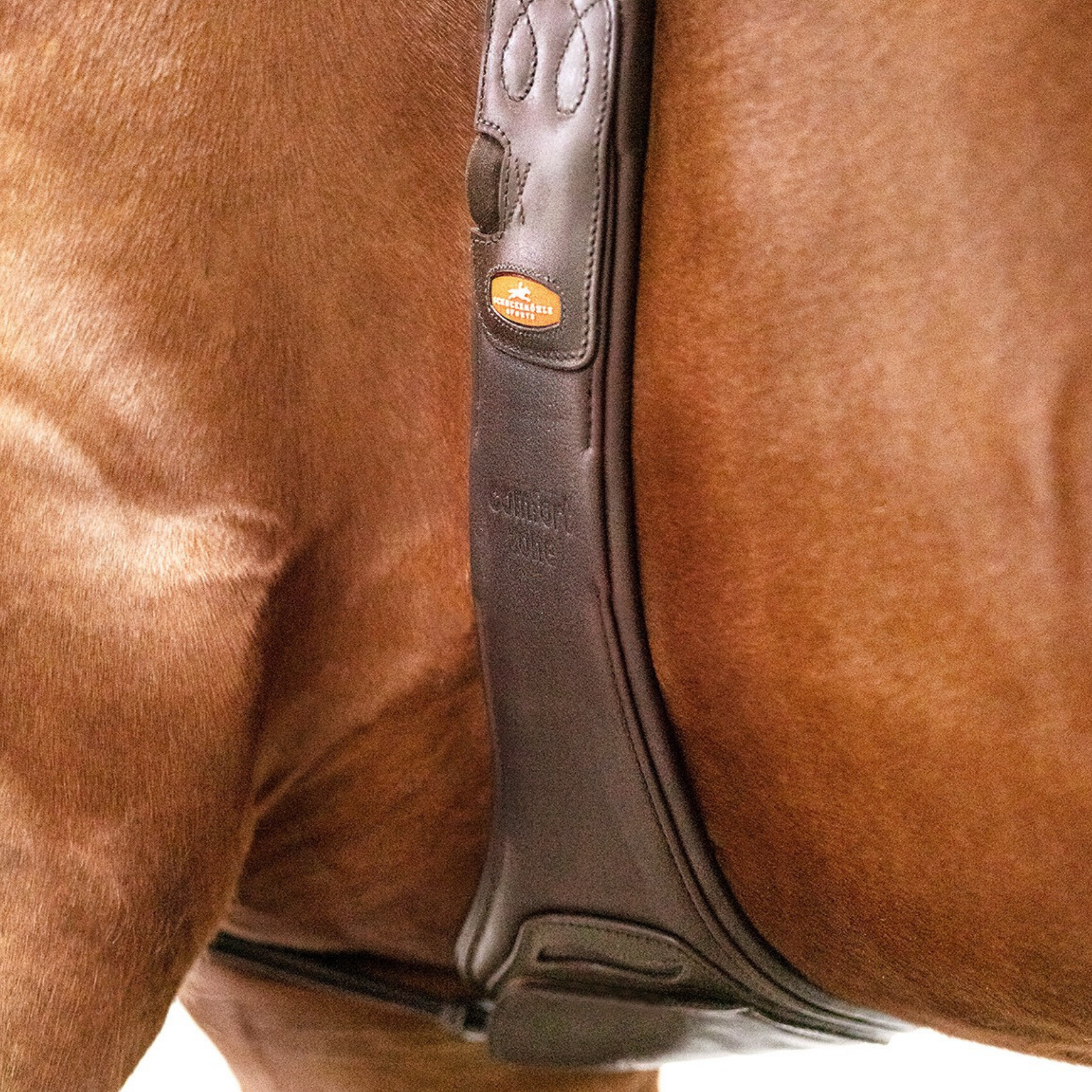 Schockemohle Portland Anatomical Long Girth, Espresso/Silver