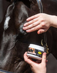 Smart Grooming Enhancing Gloss