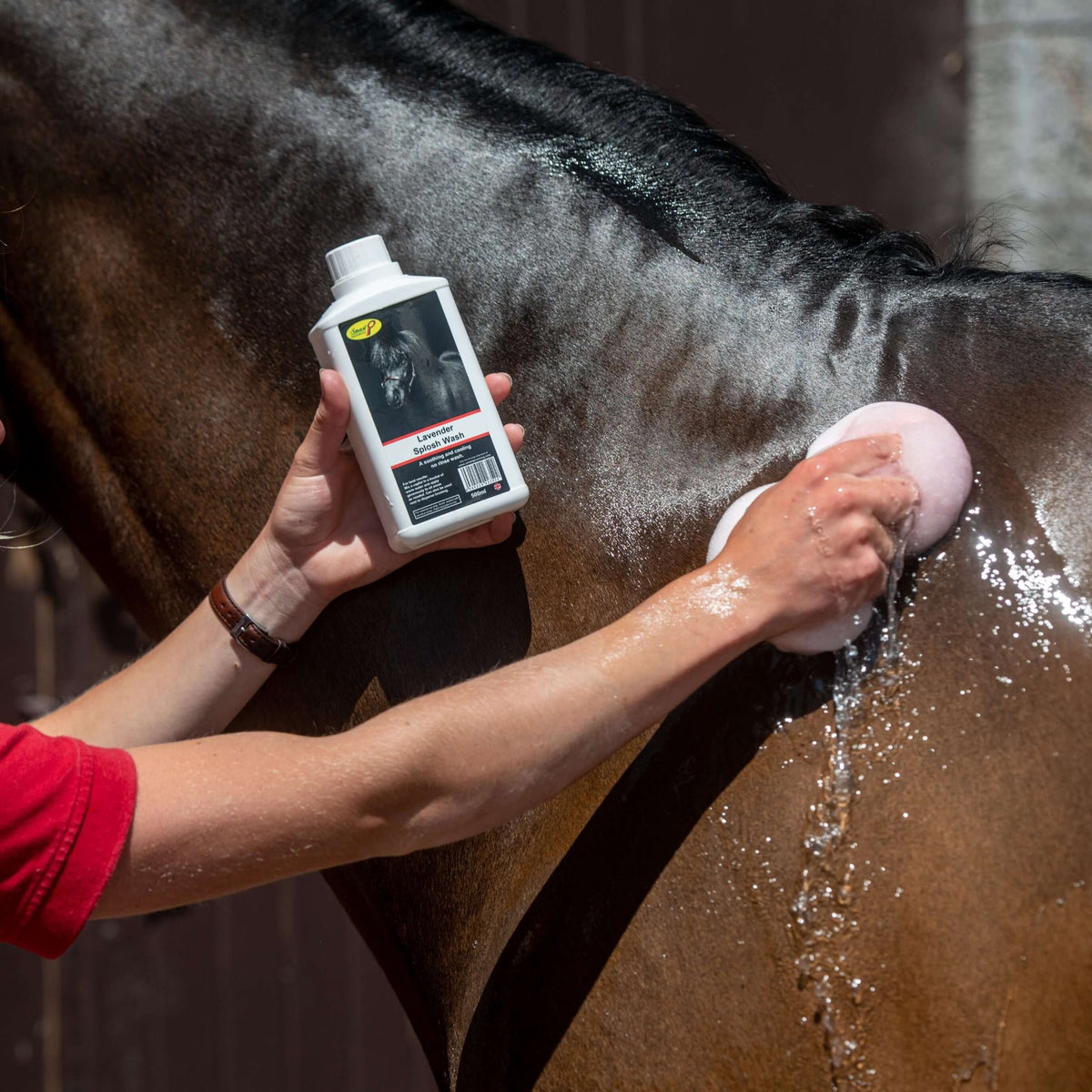 Smart Grooming Lavender Splosh Wash
