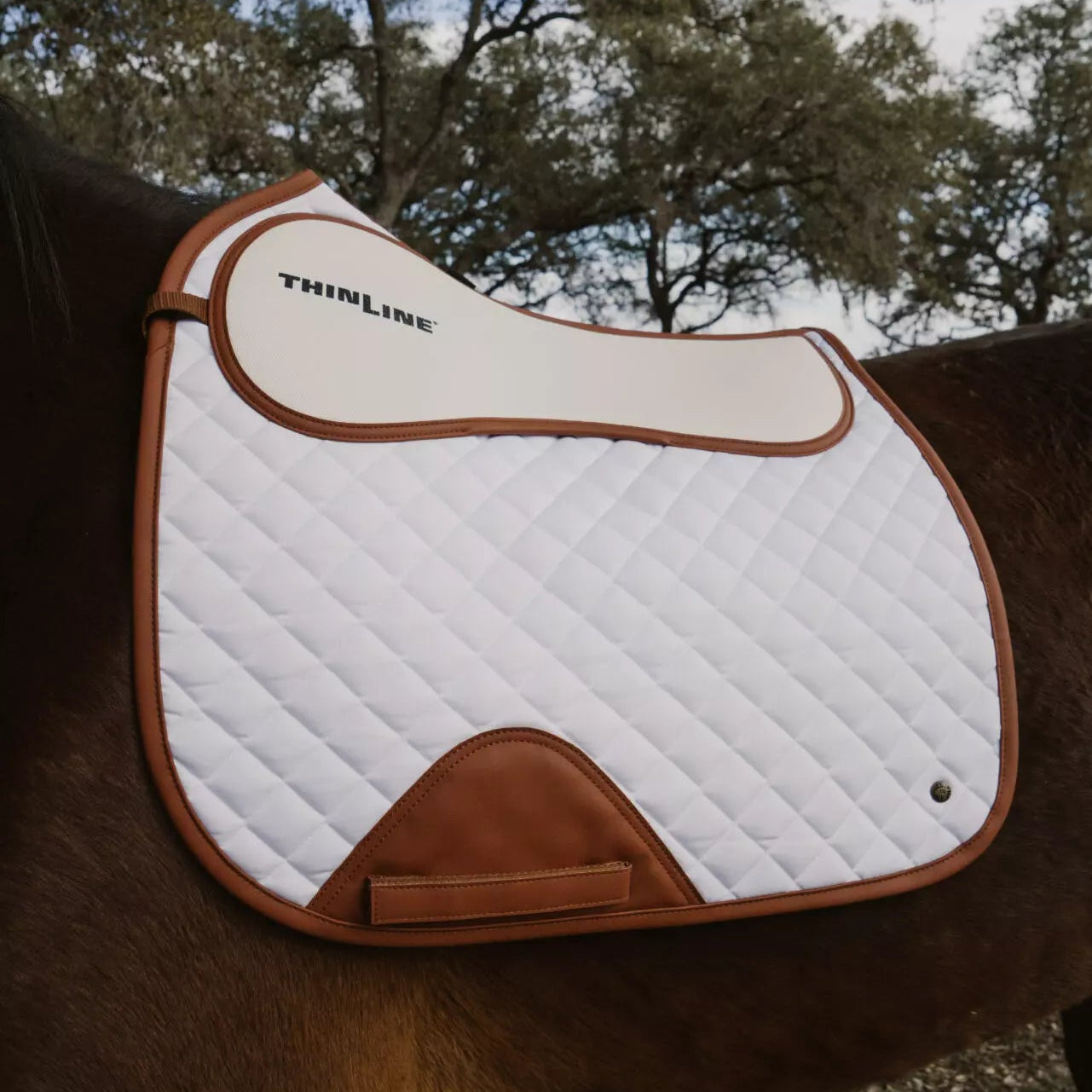 Brown and white saddle pad on a horse with trees in the background
