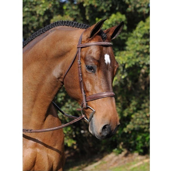ADT Tribute Hunter Bridle w/Raised Fancy Laced Reins, Brown