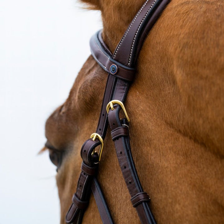 Trust Equestrian Amsterdam Comb. Noseband Bridle, Brown/Silver